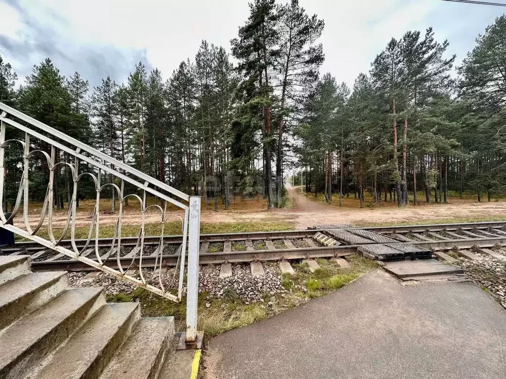 3-к кв. Ленинградская область, Кировский район, Мгинское городское ... - Фото 1