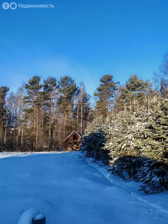 Участок в посёлок Большая Речка, улица Льва Толстого (12 м) - Фото 2