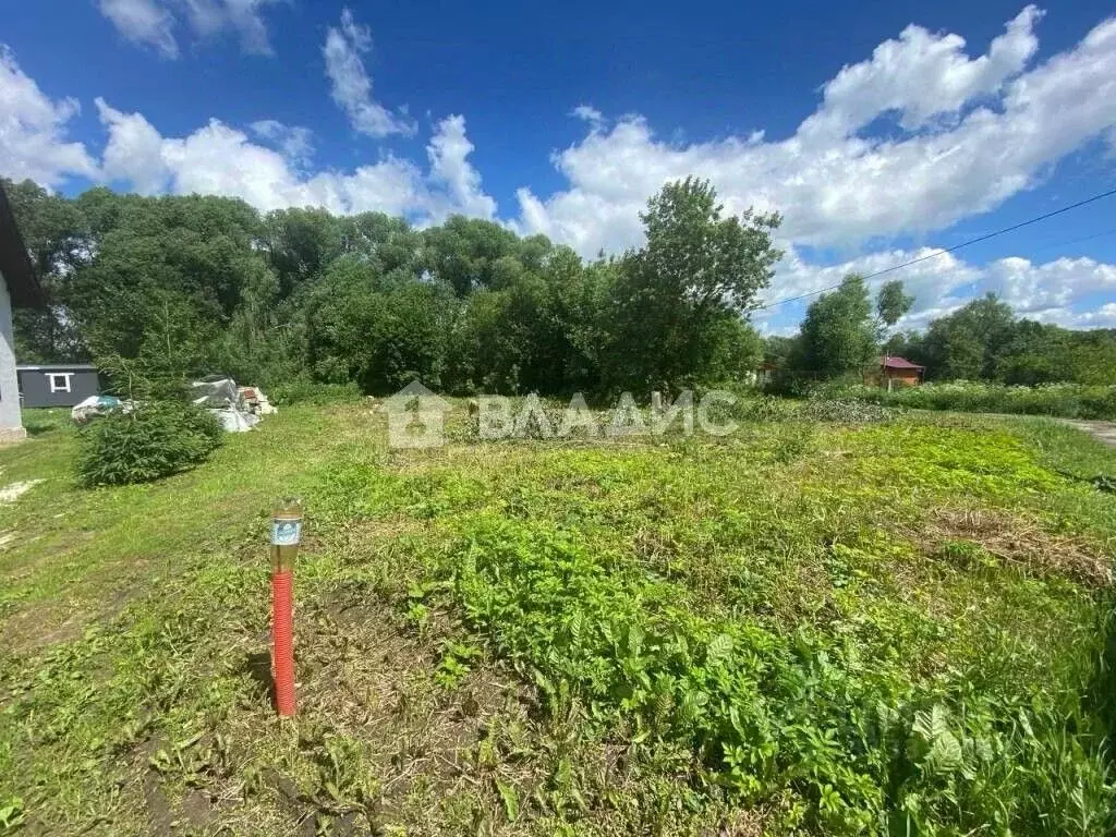 Участок в Владимирская область, Суздальский район, Новоалександровское ... - Фото 0