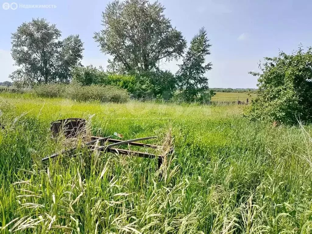 Дом в Курганская область, Кетовский муниципальный округ, село ... - Фото 1