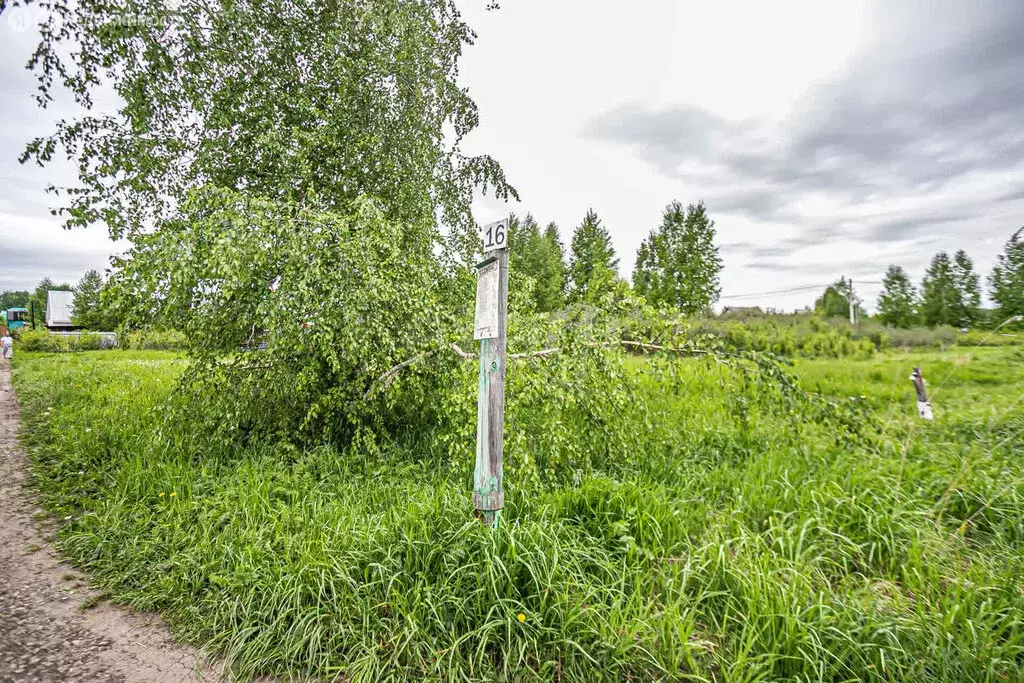Участок в Бердск, СНТ Ива, 16-я улица (5.1 м) - Фото 1