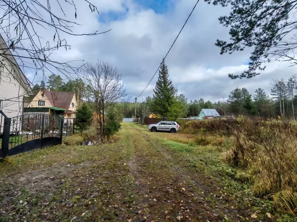 Участок в Московская область, Клин городской округ, Лесник СНТ 60 ... - Фото 1