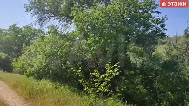 Участок 1,4 га (СНТ, ДНП) - Фото 1