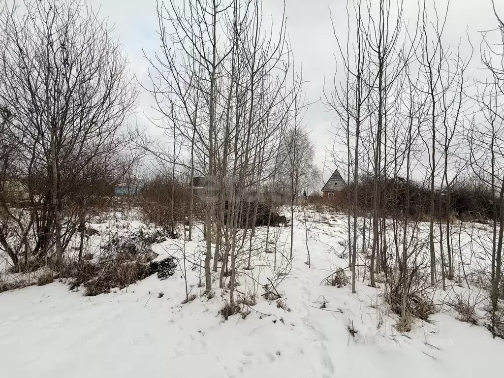 Участок в Вологодская область, Вологда Керамик садоводческое ... - Фото 2