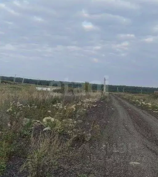 Участок в Челябинская область, Аргаяшский район, Норкинское с/пос, д. ... - Фото 0