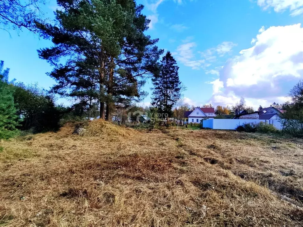 Участок в Ленинградская область, Ломоносовский район, Большая Ижора ... - Фото 1