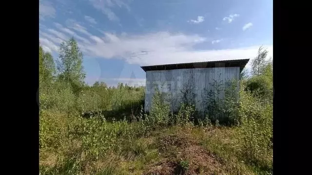 Участок 25 сот. (личное подсобное хозяйство (лпх)) - Фото 1