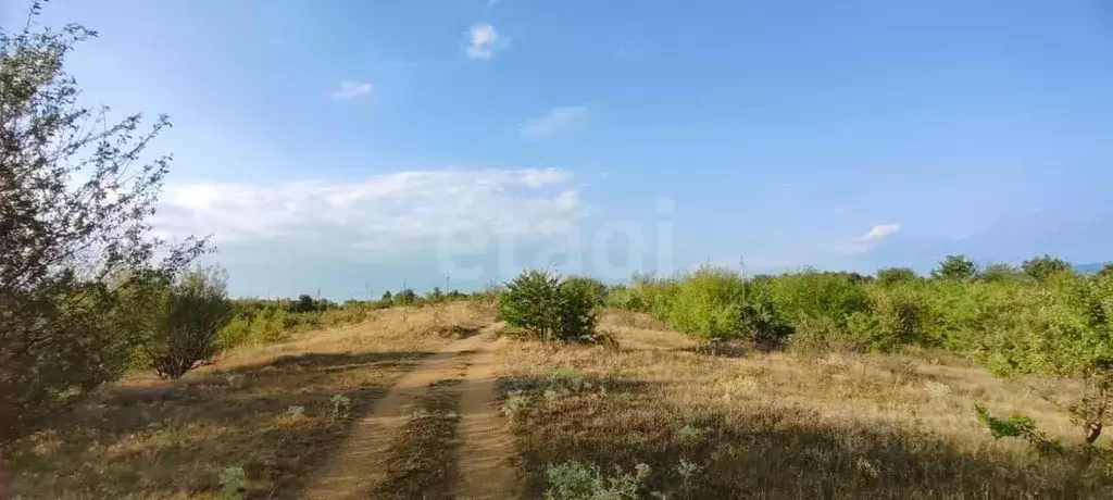 участок в крым, бахчисарайский район, с. скалистое (2000.0 сот.) - Фото 0