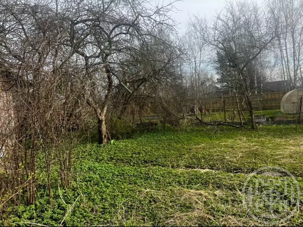 Участок в Санкт-Петербург Торики тер.,  (5.0 сот.) - Фото 2