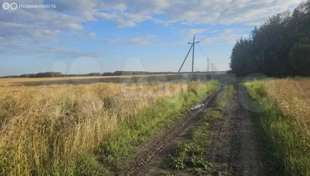 Участок в Тюменский муниципальный округ, село Горьковка (200 м) - Фото 2