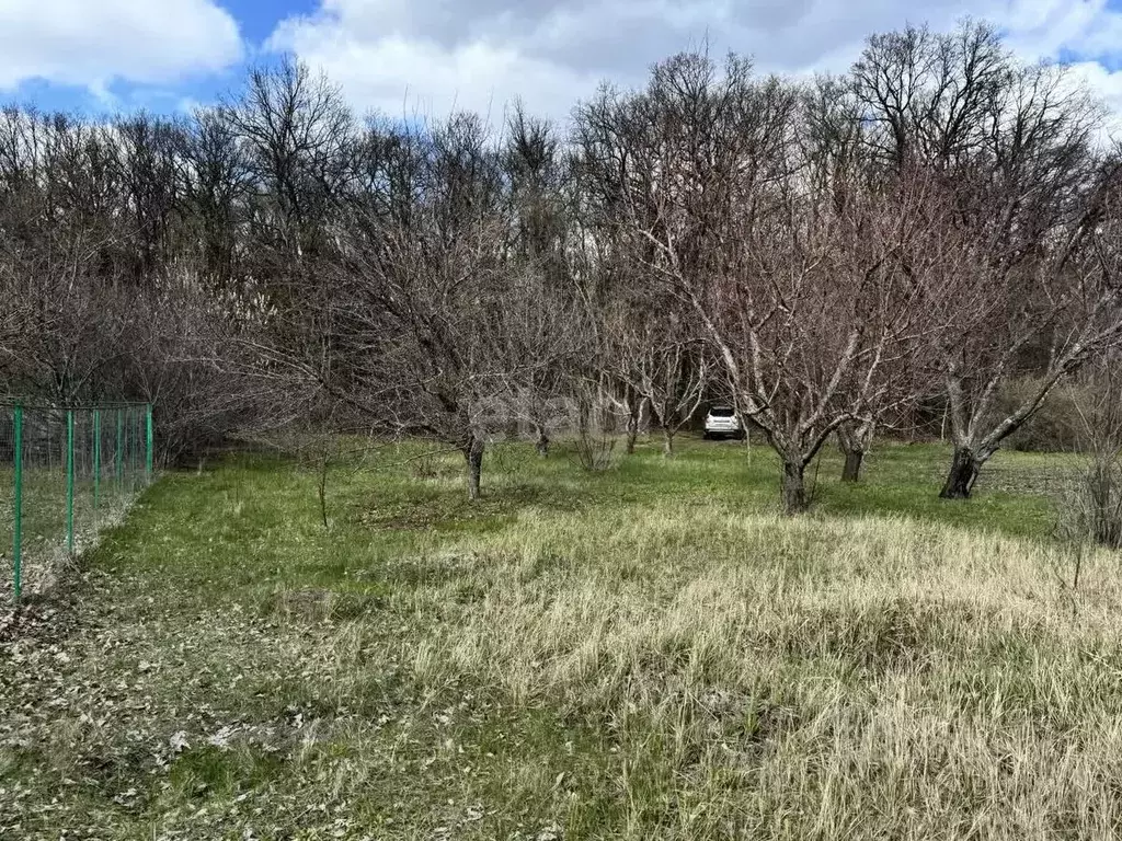 Участок в Белгородская область, Белгородский район, Тавровское с/пос, ... - Фото 0