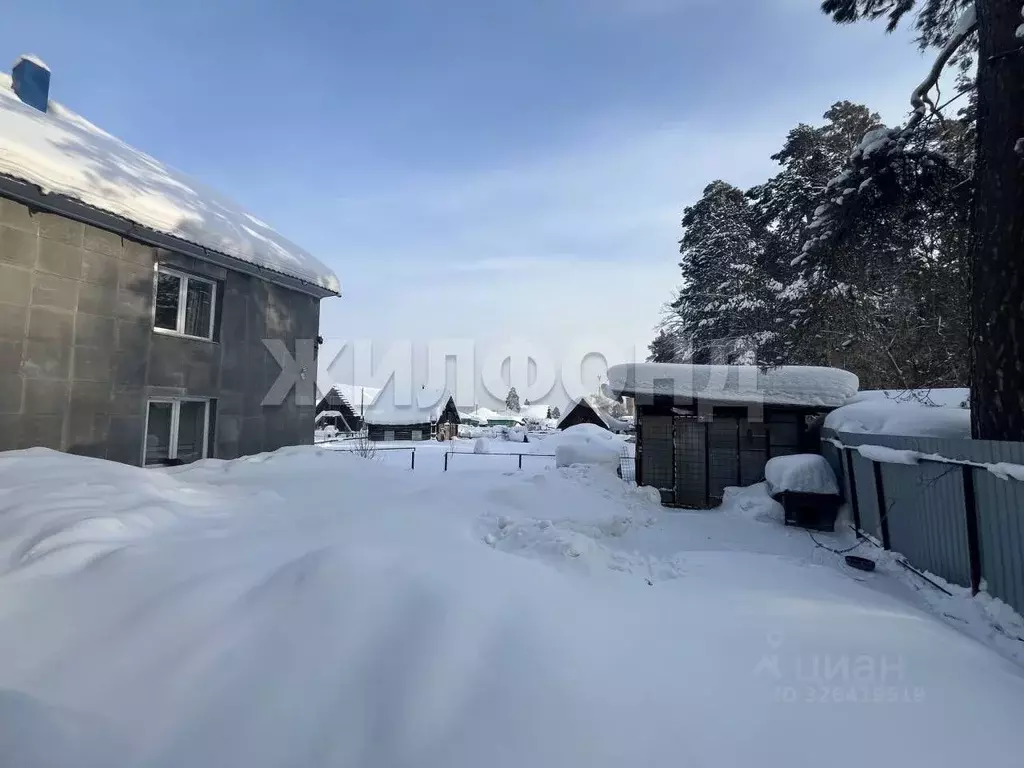 Дом в Новосибирская область, Сузун рп ул. Молодежная (159 м) - Фото 2