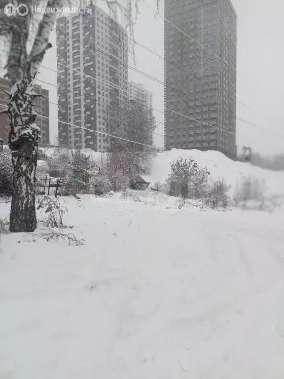 Участок в Новосибирск, НСТ Ветеран (6.2 м) - Фото 2