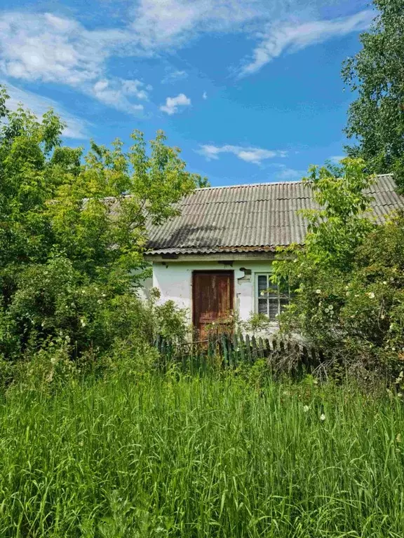 Дом в Рязанская область, Кораблинский муниципальный округ, с. Троица ... - Фото 1