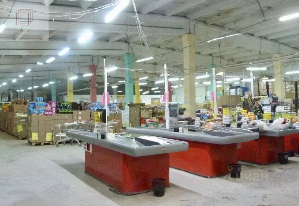 Торговая площадь в Алтайский край, Камень-на-Оби городское поселение ... - Фото 2