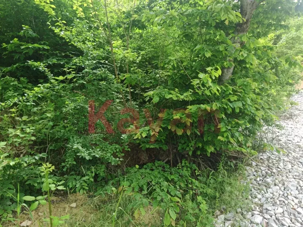 Участок в Краснодарский край, Новороссийск пл. Имени Ленина (7.0 сот.) - Фото 1