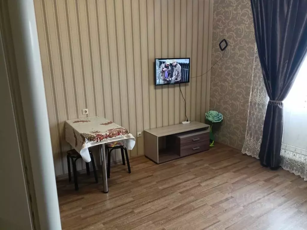 Студия Новосибирская область, Новосибирск ул. Виктора Уса, 4 (24.0 м) - Фото 2