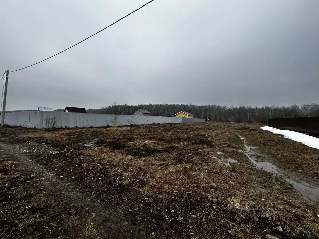 Участок в Московская область, Ступино городской округ, с. Мещерино ул. ... - Фото 1