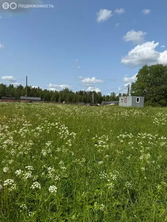 Участок в деревня Васильево, Лыжная улица (9.4 м) - Фото 0