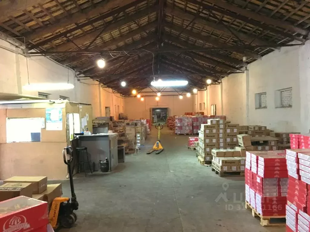 Производственное помещение в Пензенская область, Пенза Совхозная ул., ... - Фото 1