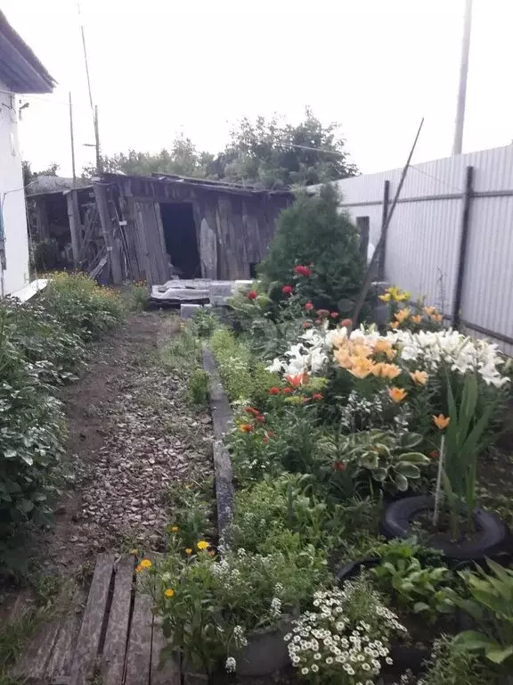 Дом в Омск, посёлок Рыбачий, 1-я Рыбачья улица (62 м) - Фото 2