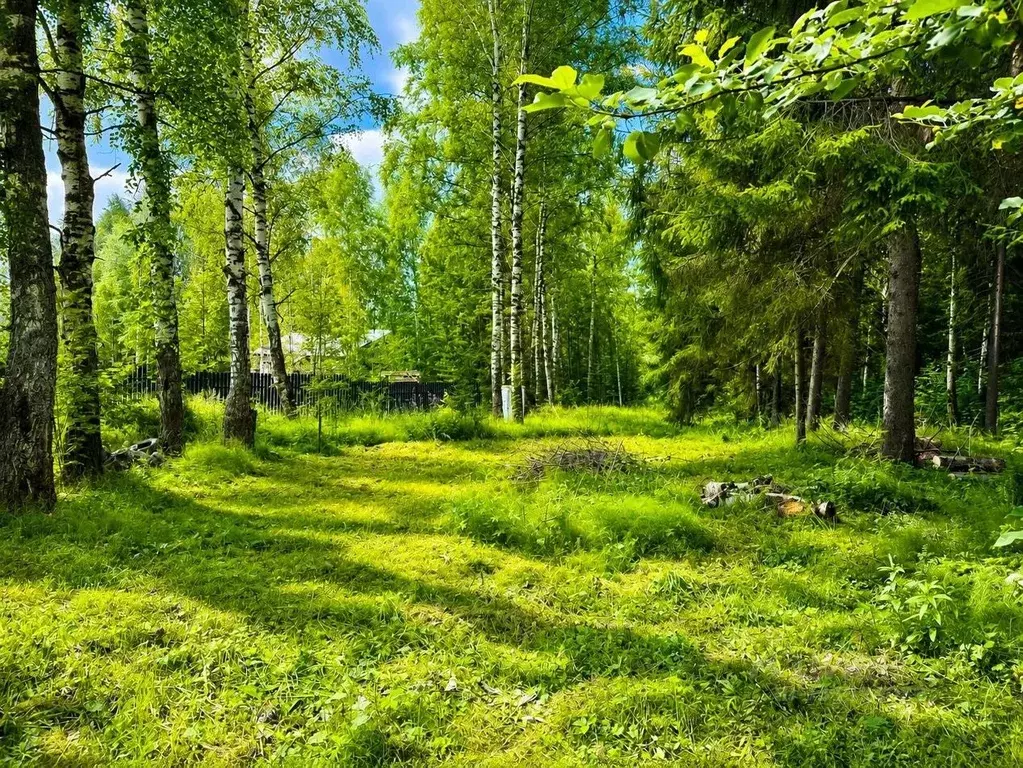 Участок в Пермский край, Пермь Золотистая ул., 50 (19.26 сот.) - Фото 1