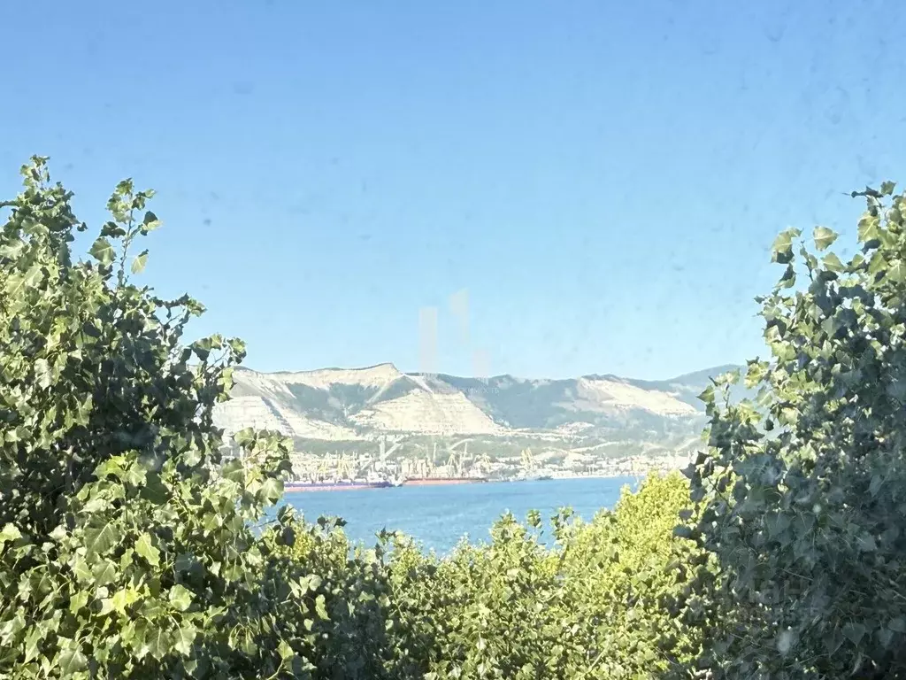1-к кв. Краснодарский край, Новороссийск ул. Мира, 19 (28.7 м) - Фото 0