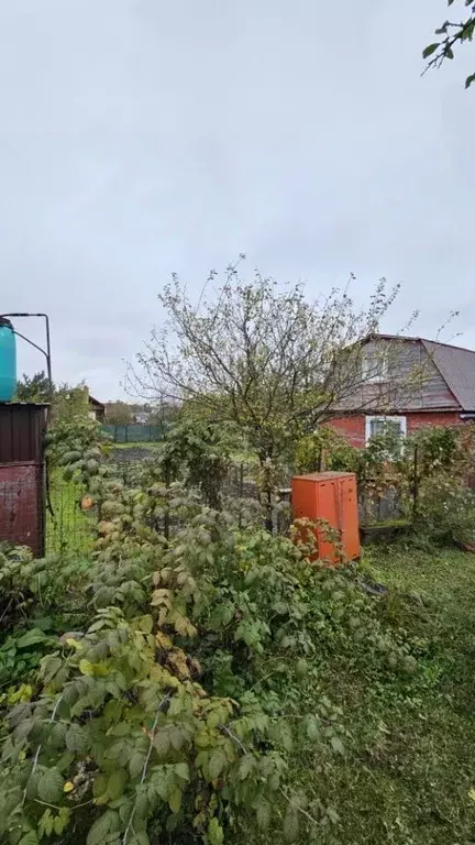 Участок в Московская область, Егорьевск Нечаевский садовое ... - Фото 1