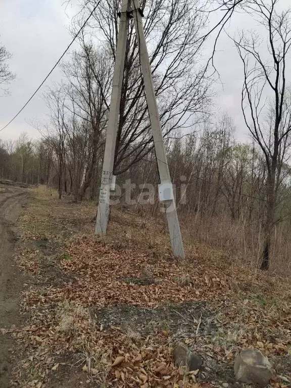 Участок в Приморский край, Надеждинский район, пос. Стеклозаводский  ... - Фото 1