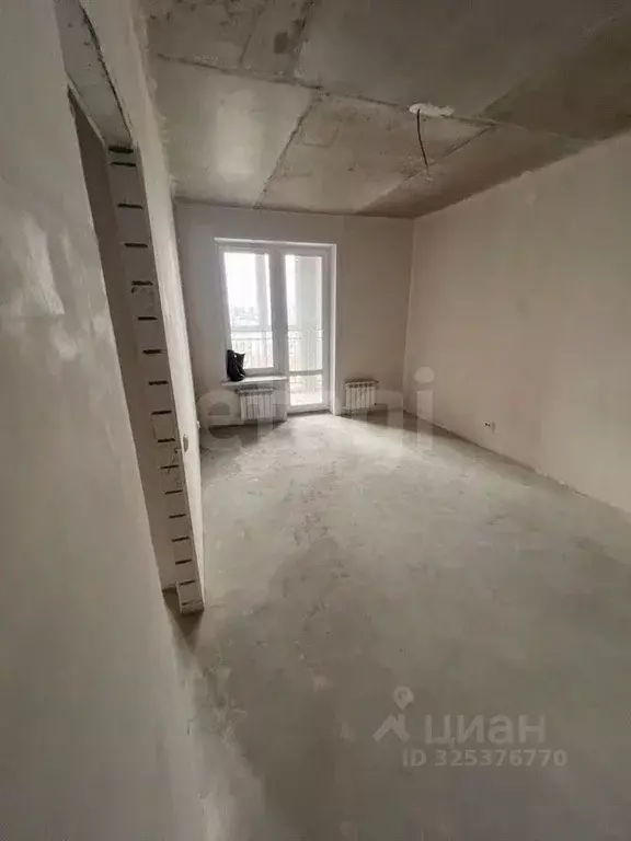 1-к кв. Нижегородская область, Нижний Новгород ул. Тургенева, 25 (37.8 ... - Фото 1