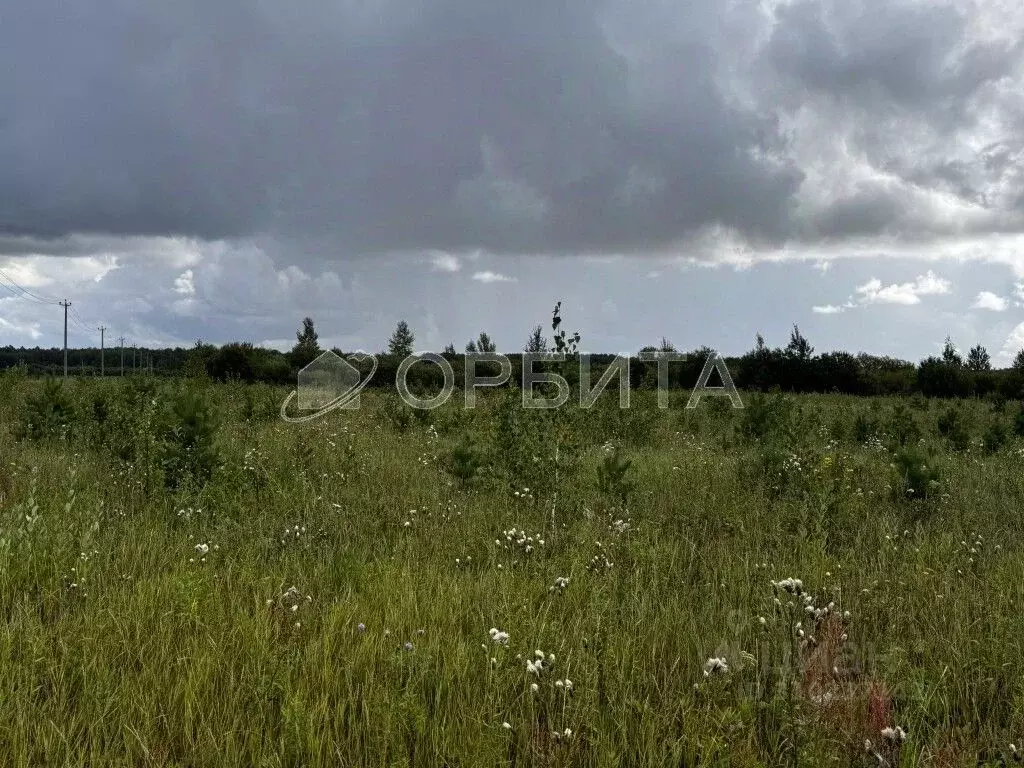 Участок в Тюменская область, Тюменский район, с. Кулига  (8.3 сот.) - Фото 1