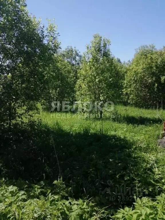 Участок в Пермский край, Березники пос. Круглый Рудник, ул. ... - Фото 2