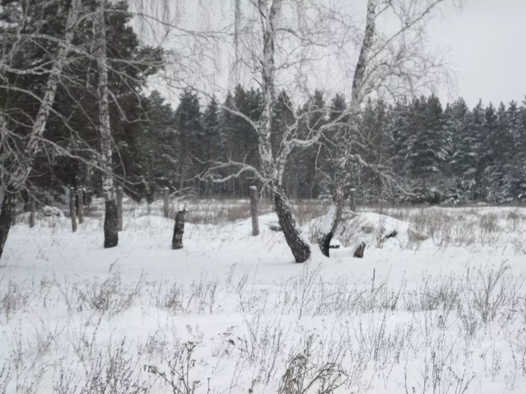 Погода в колташево курганской