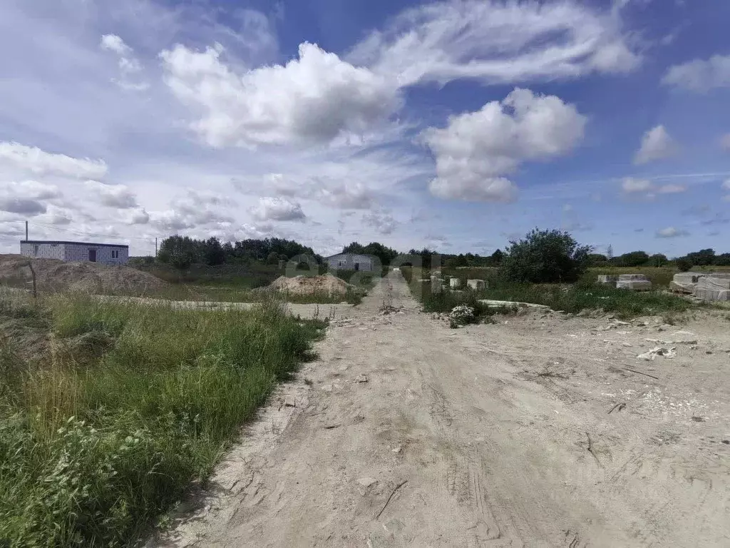 Участок в Калининградская область, Зеленоградский муниципальный округ, ... - Фото 1