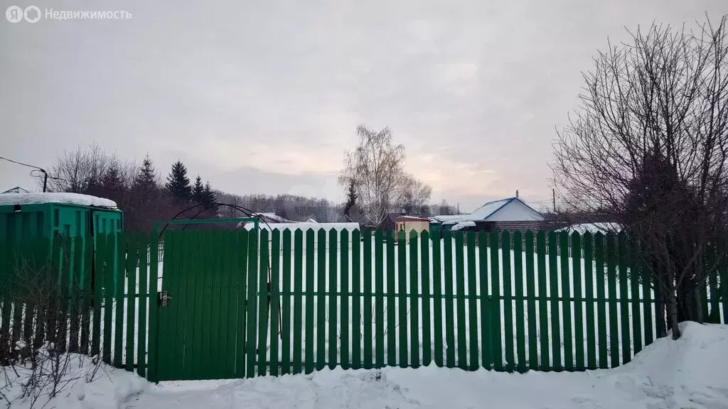 Участок в Омск, садоводческое некоммерческое товарищество Светлый, ... - Фото 1