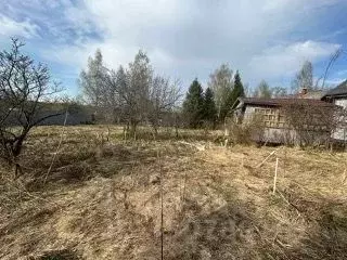 Участок в Московская область, Шаховская муниципальный округ, д. ... - Фото 1
