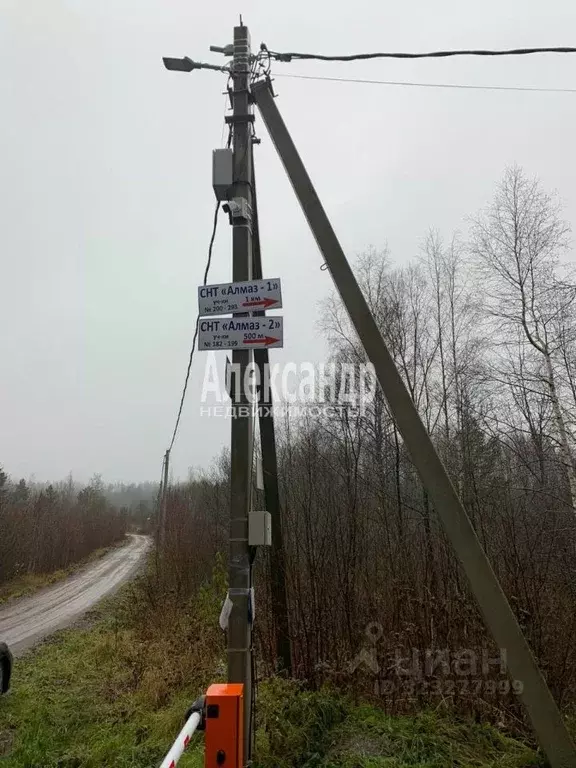 Участок в Ленинградская область, Приозерский район, Кузнечнинское ... - Фото 2
