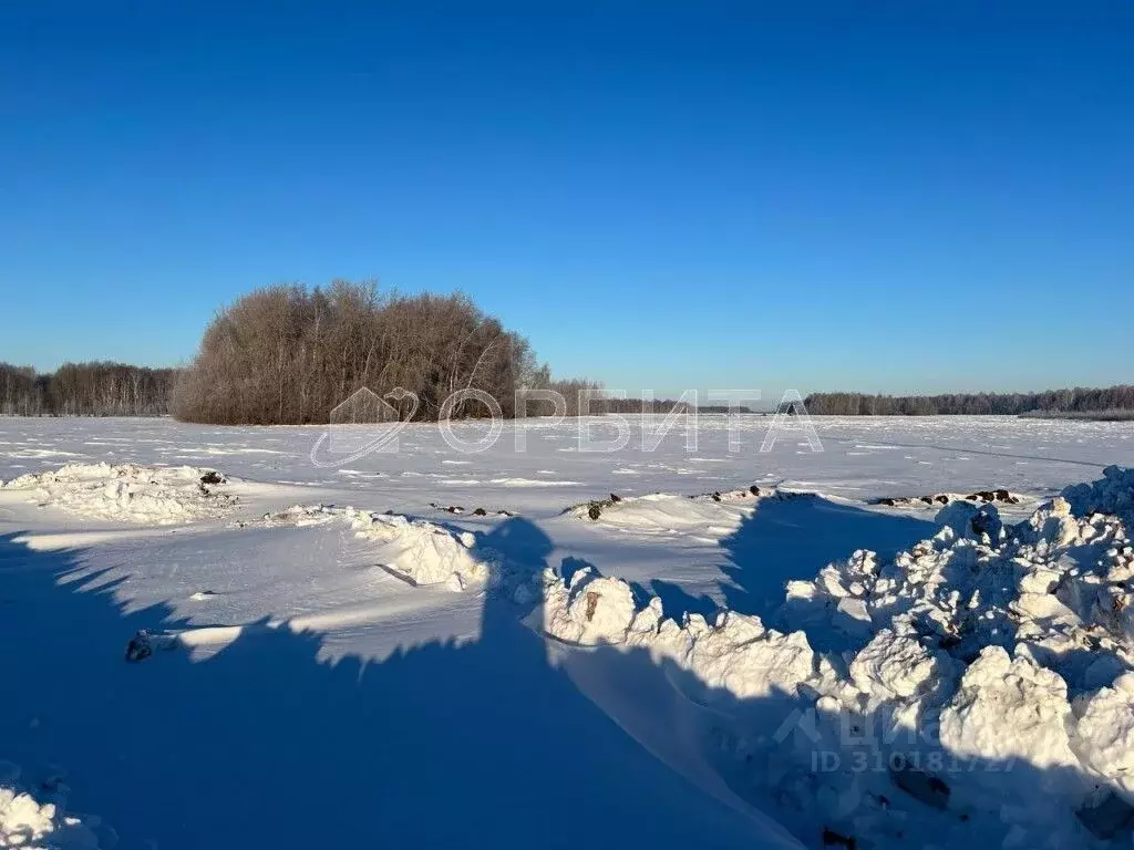 Участок в Тюменская область, Тюменский район, с. Горьковка Сибирская ... - Фото 1