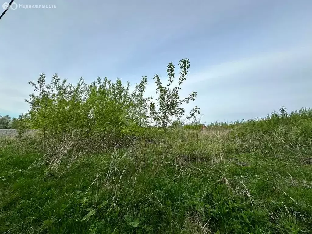 Участок в Чебаркульский округ, деревня Боровое, улица Гагарина (5 м) - Фото 0