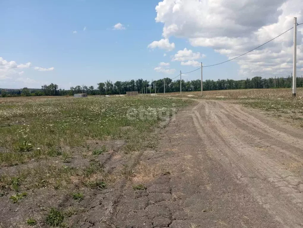 Участок в Краснодарский край, Новороссийск городской округ, ... - Фото 2