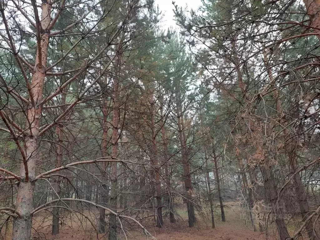 Участок в Свердловская область, Сысертский городской округ, д. Ключи, ... - Фото 1