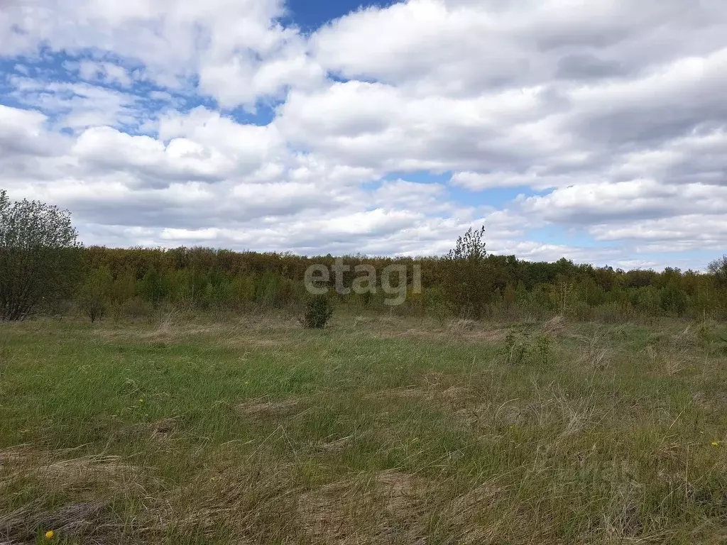 Участок в Ульяновская область, Чердаклы рп ул. Солнечная (10.0 сот.) - Фото 1