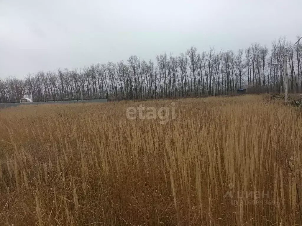 Участок в Ульяновская область, Ульяновск городской округ, с. Луговое ... - Фото 0