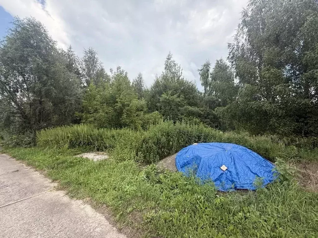 Участок в Московская область, Мытищи городской округ, д. Витенево ул. ... - Фото 1
