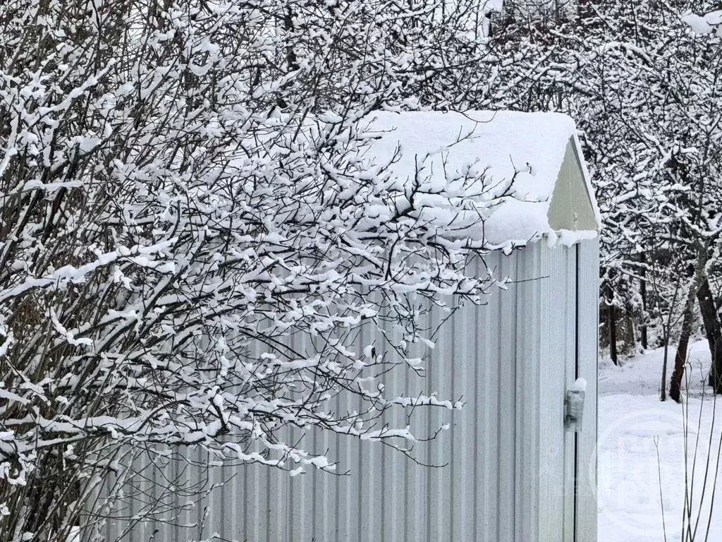 Участок в Ленинградская область, Гатчинский муниципальный округ, ... - Фото 2