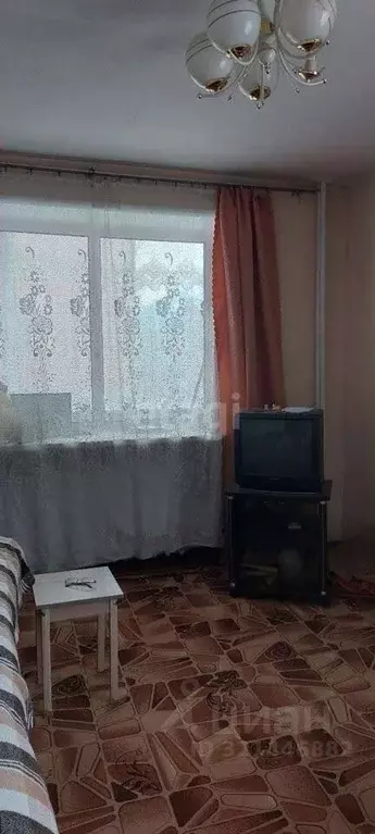 2-к кв. Амурская область, Ивановский муниципальный округ, с. Березовка ... - Фото 0