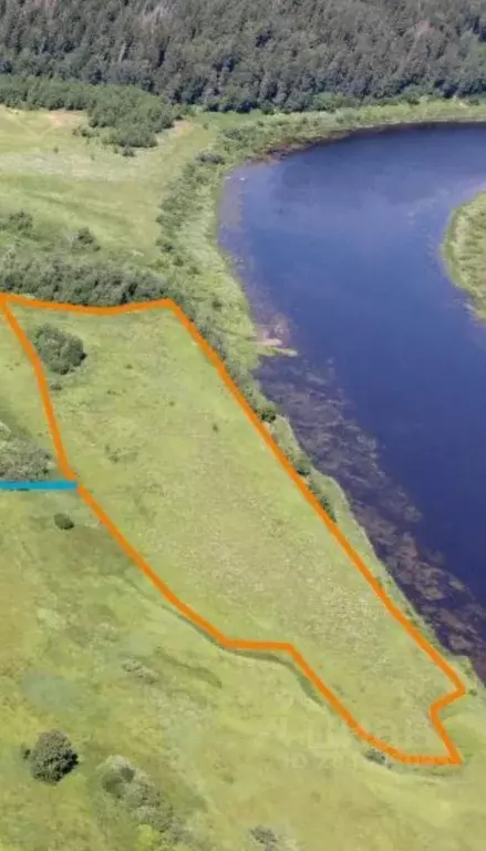 Участок в Тверская область, Старицкий муниципальный округ, д. Подол  ... - Фото 2