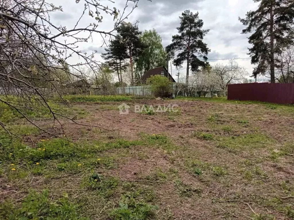 Участок в Владимирская область, Суздальский район, Новоалександровское ... - Фото 1