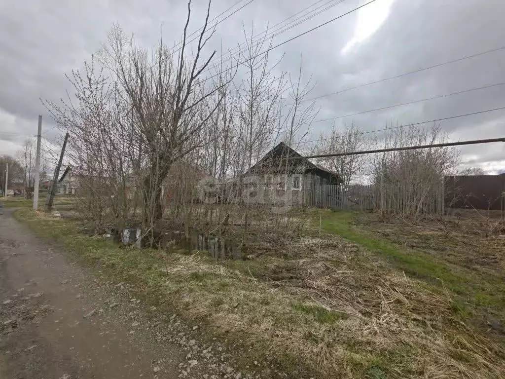 Дом в Нижегородская область, Выкса городской округ, Ближне-Песочное рп ... - Фото 2