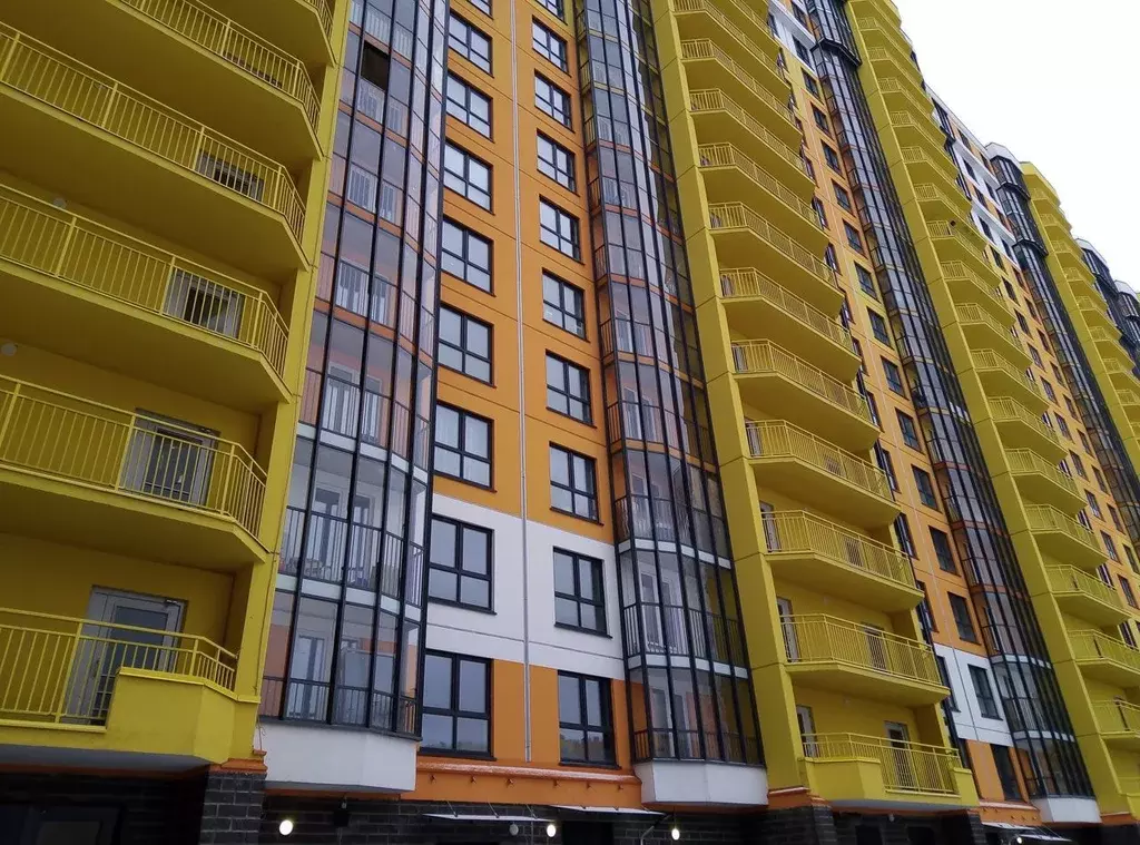 Студия Санкт-Петербург Комендантский просп., 59к1 (24.0 м) - Фото 1